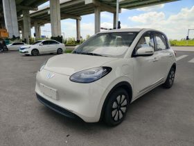 五菱汽车 五菱缤果 2024款 333km 悦享款