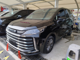 上汽大通MAXUS 大通G50 2023款 PLUS 1.5T 幸福推荐自动启航版