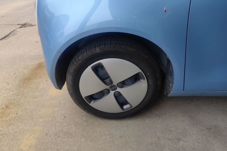 欧拉黑猫 2021款 301km 基础型车身外观6002