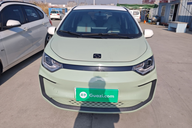 思皓 2022款 花仙子款 四叶草车身外观2