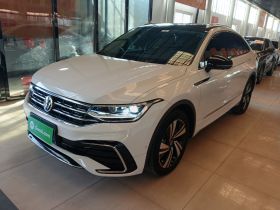 大众 途观X 2021款 330TSI 两驱旗舰版