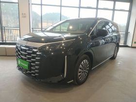 比亚迪 夏 2025款 DM-i 1.5T 180km 卓越型