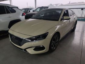 现代 菲斯塔 2019款 240TGDi 运动版 国V