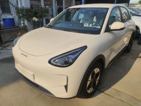 吉利银河 星愿 2025款 UP 410km 探索版