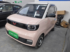 五菱汽车 宏光MINIEV 2021款 马卡龙时尚款 三元锂