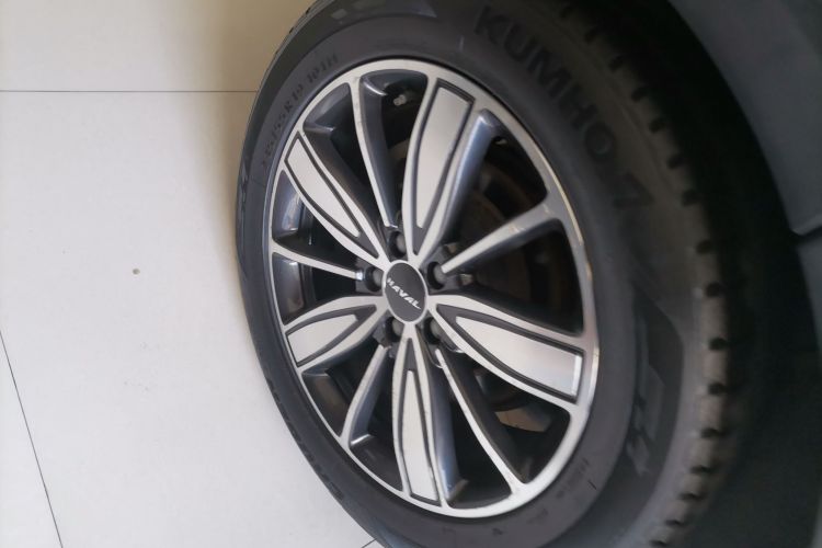 哈弗H6 2021款 1.5T 自动冠军版车身外观6008