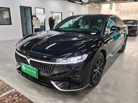 岚图汽车 岚图追光 2024款 PHEV 四驱超长续航行政版