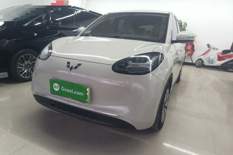 五菱汽车 五菱缤果 2023款 333km 悦享+款