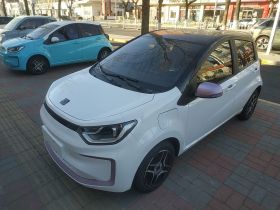 思皓 2022款 花仙子款 四叶草