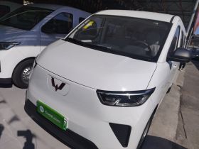 五菱汽车 五菱扬光 2024款 300KM 舒适型客车版 75kW