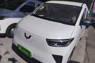 五菱汽车 五菱扬光 2024款 300KM 舒适型客车版 75kW