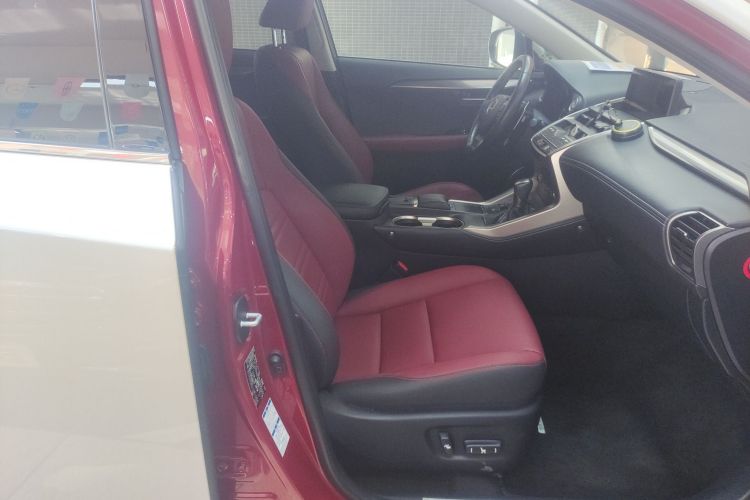 雷克萨斯NX 2020款 200 全驱 锋尚版 国VI局部细节41