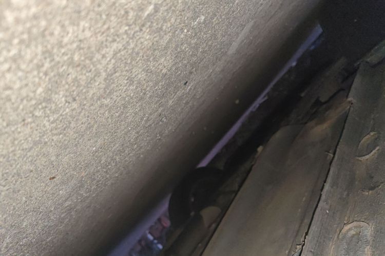 大众 朗逸 2014款 1.4TSI DSG蓝驱技术版局部细节9004