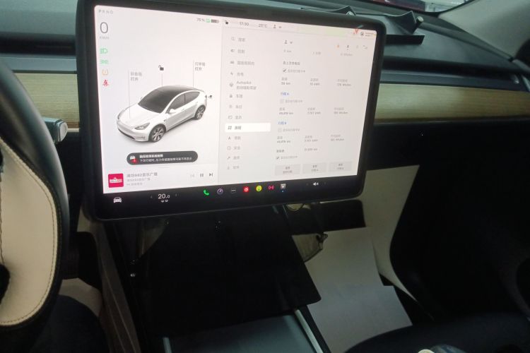 特斯拉 Model Y 2021款 标准续航后驱版局部细节16