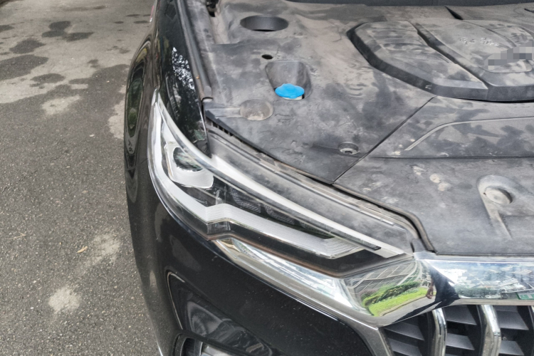 红旗HS5 2019款 2.0T 智联旗悦版局部细节9006