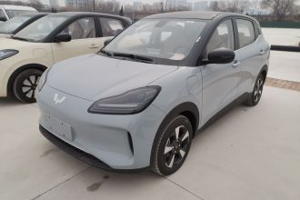 五菱汽车 五菱缤果PLUS 2024款 401km 五座版