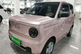 吉利银河 2024款 熊猫mini 200km 耐力熊