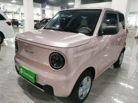 吉利银河 2024款 熊猫mini 200km 耐力熊
