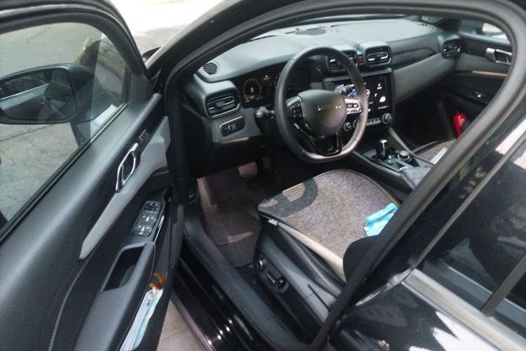 领克02 2021款 2.0TD 自动两驱劲 冠军版中控内饰20