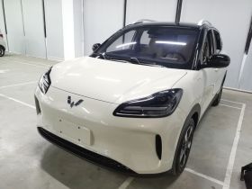 五菱汽车 五菱缤果PLUS 2024款 330km 五座版