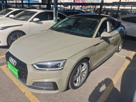 奥迪A5 2019款 Sportback 45 TFSI 时尚型