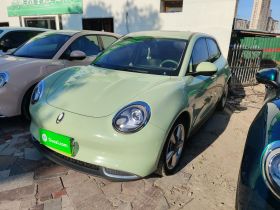 欧拉好猫 2023款 401km标准续航 豪华型 磷酸铁锂