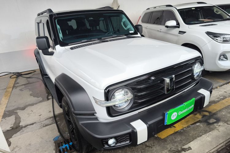 坦克300 2024款 2.0T 征服者车身外观6002