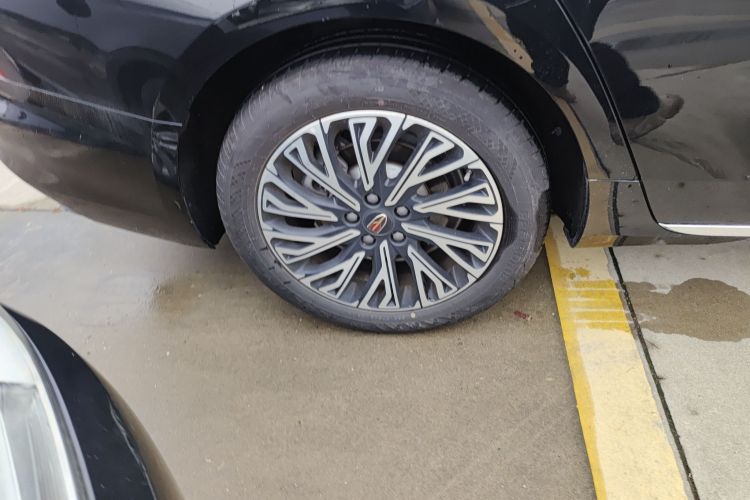 红旗H5 2025款 2.0T 自动旗畅版车身外观6008