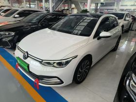 大众 高尔夫 2023款 280TSI DSG Pro