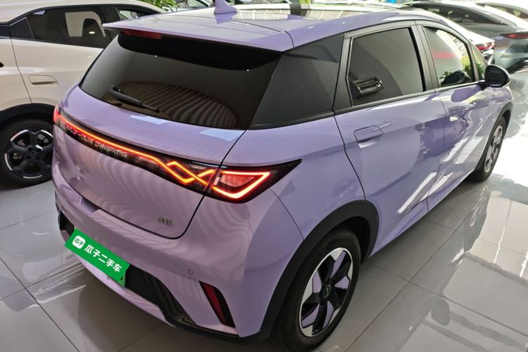 比亚迪 海豚 2024款 荣耀版 420km 时尚版车身外观7