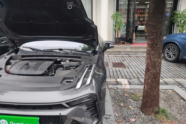 领克03 2023款 2.0TD DCT劲Pro局部细节9006