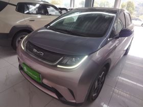 比亚迪 海豚 2021款 405km 时尚版