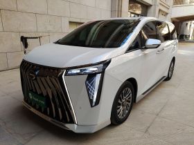 广汽传祺 传祺M8 2023款 宗师系列 400T 至尊版