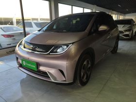 比亚迪 海豚 2024款 荣耀版 420km 自由版