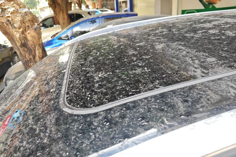 奇瑞 瑞虎8 PRO 2022款 390T 两驱天穹版 5座局部细节57