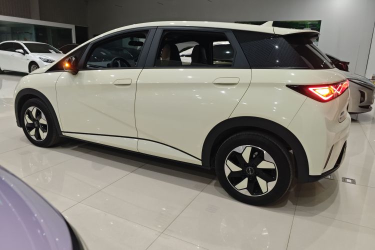 比亚迪 海豚 2024款 荣耀版 420km 自由版车身外观4