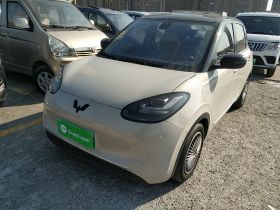 五菱汽车 五菱缤果 2023款 410km 灵犀尊享款