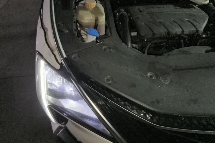 东风风行 风行游艇 2022款 1.5T DCT揽月版局部细节9006