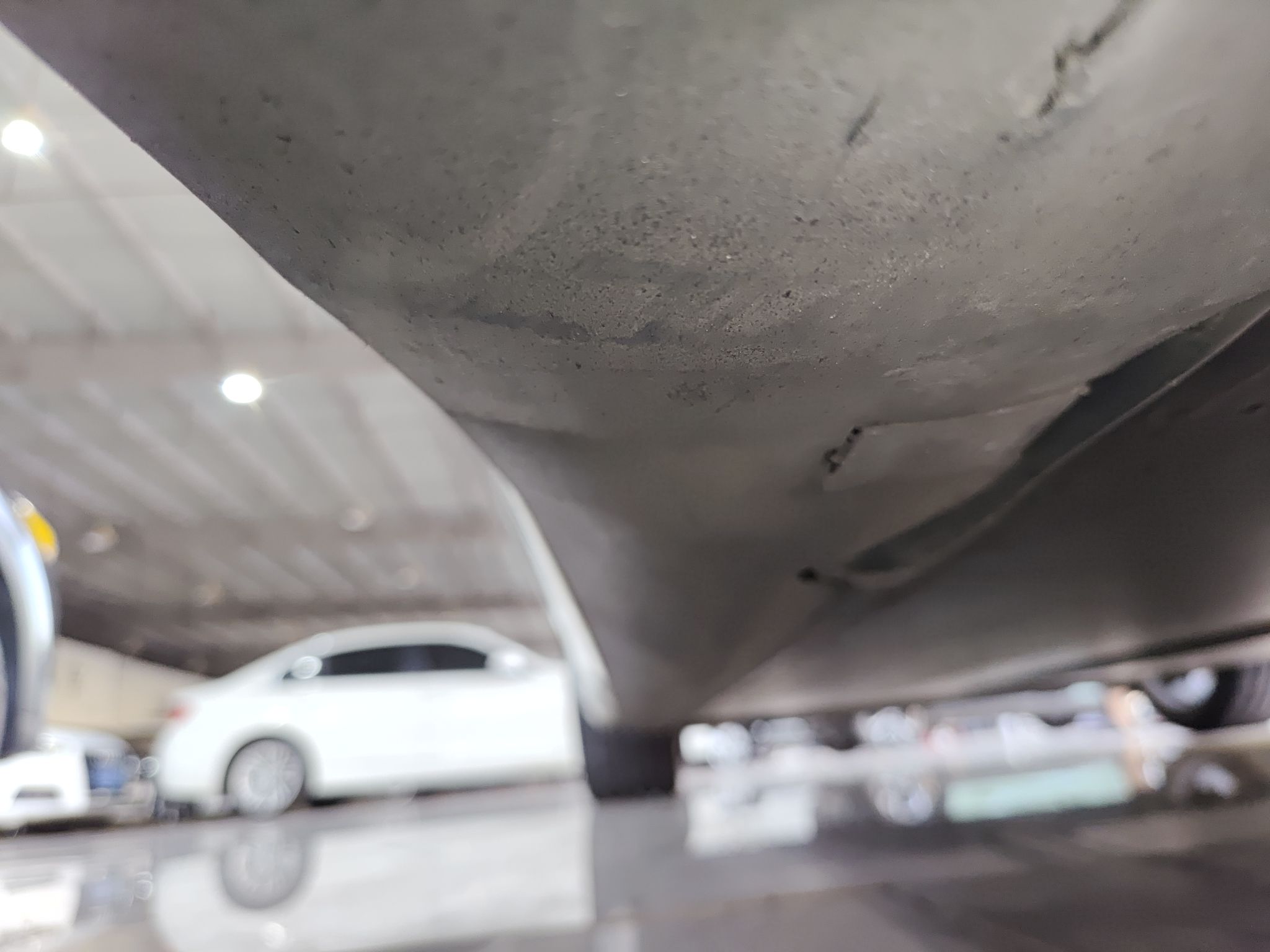 特斯拉 Model 3 2019款 标准续航后驱升级版