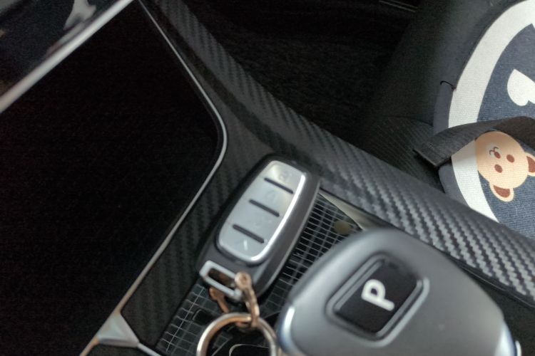 启辰D60EV 2023款 PLUS 舒适版SI型中控内饰11