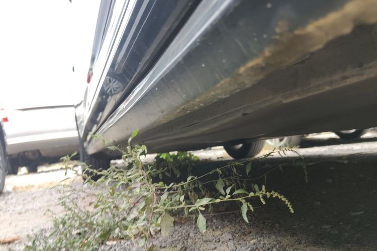 大众 帕萨特 2019款 280TSI 商务版 国VI局部细节9001