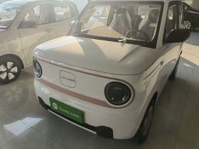 吉利银河 2024款 熊猫mini 200km 耐力熊