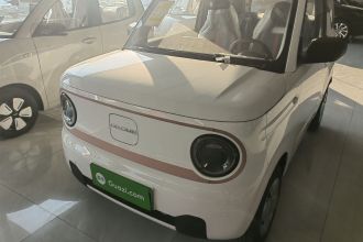 吉利银河 2024款 熊猫mini 200km 耐力熊