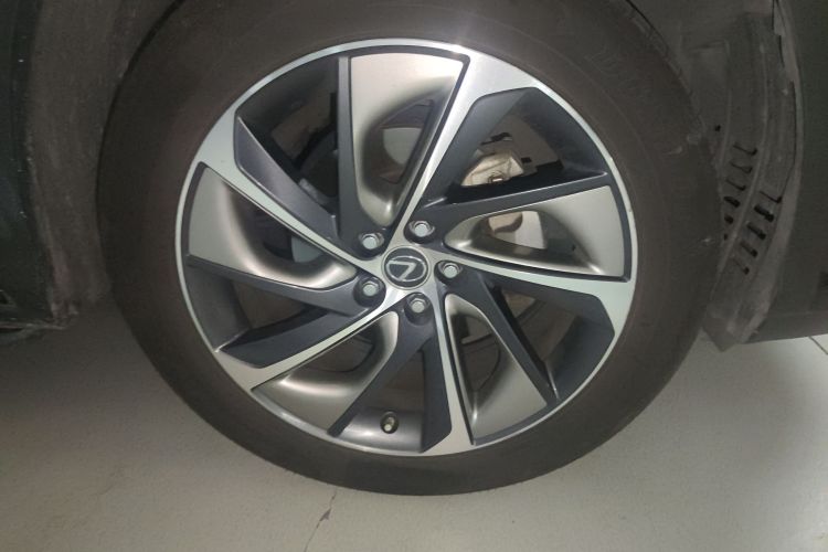 雷克萨斯RX 2016款 300 四驱典雅版 国V车身外观6007