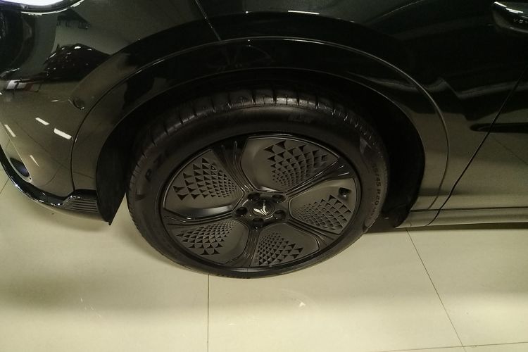 岚图汽车 岚图知音 2024款 四驱全球版车身外观6007