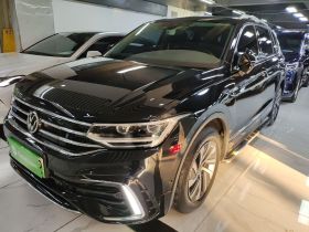 大众 途观L新能源 2023款 430PHEV 插电混动尊贵版