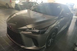 雷克萨斯RX 2025款 300 四驱骏享版