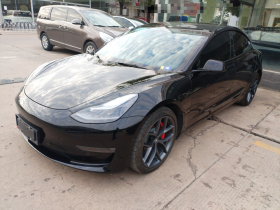 特斯拉 Model 3 2021款 改款二 Performance高性能全轮驱动版