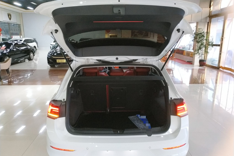 大众 高尔夫 2023款 改款 280TSI DSG Pro机舱底盘23