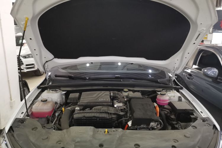 比亚迪 秦PLUS 2024款 荣耀版 DM-i 55KM领先型机舱底盘24